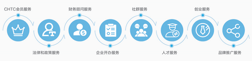 冬青树的真正图片