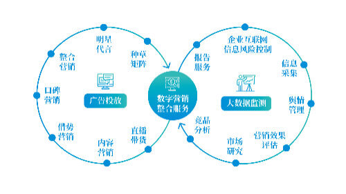 冬青树可以扦插活吗